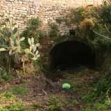 Qui fra agave, cactus, arbusti secchi e piantine selvatiche notiamo scavata in un muretto a secco una piccola cavit� che non sappiamo dove possa portare